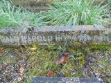 image of grave number 476897